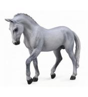 Ogier rasy Trakeński szary