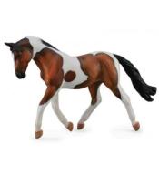 Koń Pinto Mare gniady