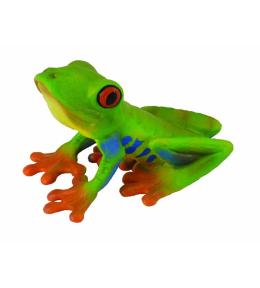 Żaba czerwonooka rzekotka drzewna