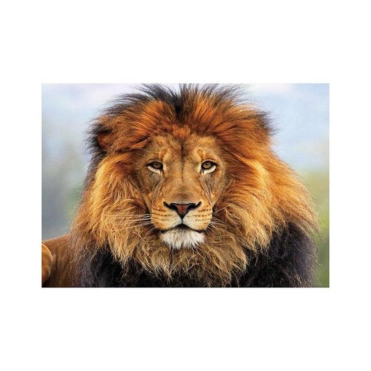 Mozaika diamentowa 5D - Lew 40x30cm