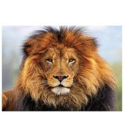 Mozaika diamentowa 5D - Lew 40x30cm