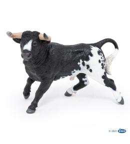 Byk hiszpański czarno-biały