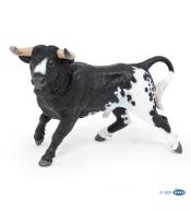 Byk hiszpański czarno-biały