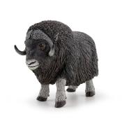 Piżmowół arktyczny