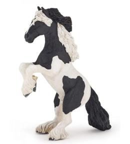 Koń rasy anglo-normandzkiej stojący