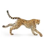 Gepard grzywiasty biegnący