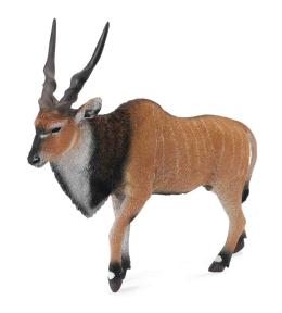 Antylopa olbrzymia eland