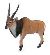 Antylopa olbrzymia eland