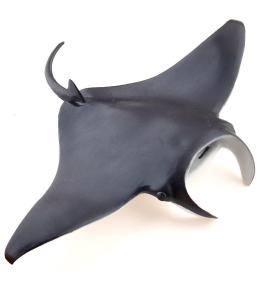Manta