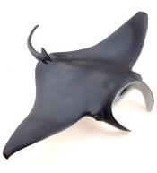 Manta