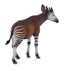 Okapi