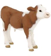 Cielę Simmentalskie