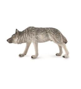 Leśny wilk polujący