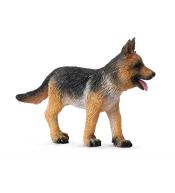 Owczarek alzacki szczeniak