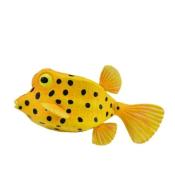 Kostera gruzełkowata