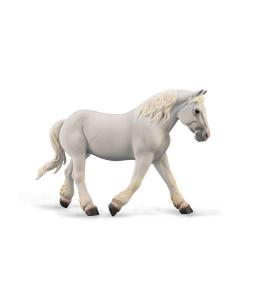 Klacz Boulonnais maści szarej