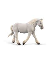 Klacz Boulonnais maści szarej