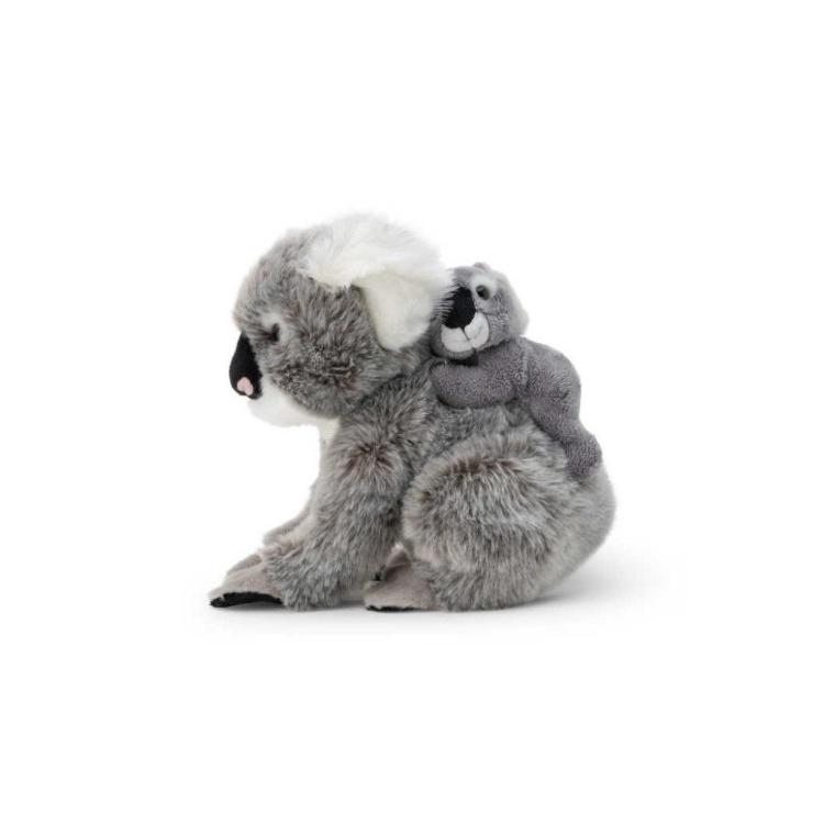 Koala z dzieckiem