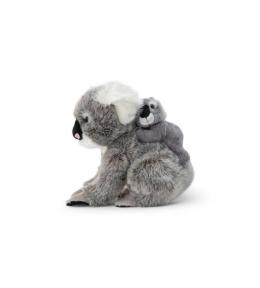 Koala z dzieckiem