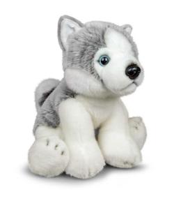 Pluszowy Husky