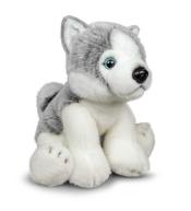 Pluszowy Husky