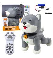 Pies Husky interaktywny robot zdalnie sterowany