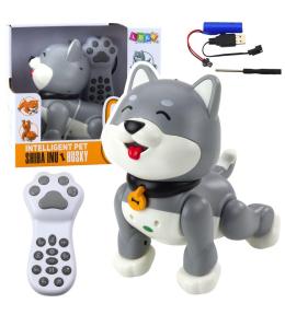 Pies Husky interaktywny robot zdalnie sterowany