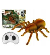 Zdalnie sterowany pająk tarantula