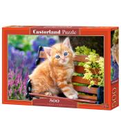 Puzzle 500 Ginger Kociak CASTOR