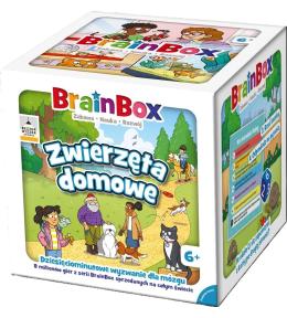 BrainBox - Zwierzęta domowe REBEL
