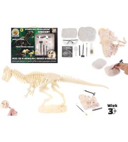 Wykopaliska archeologiczne - dinozaury