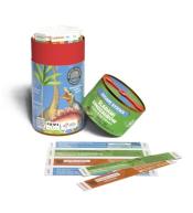 Smart Sticks Śladami dinozaurów IUVI Games