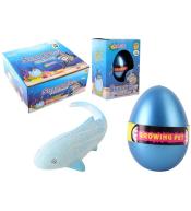 Jajko z rosnącym rekinem