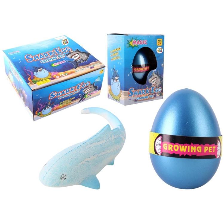 Jajko z rosnącym rekinem