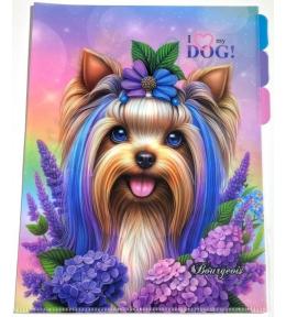 Teczka A4+ plastik 3 przegródki koszulka L Piesek