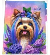 Teczka A4+ plastik 3 przegródki koszulka L Piesek