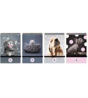 Kołonotes A6/96K kratka The sweet pets (10szt)