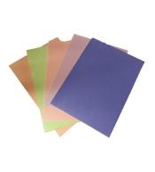 Karton Starlight 200g 25x35cm 5 arkuszy mix pastel