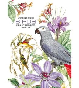 Notatnik ozdobny 165x238/80K kratka Papugi