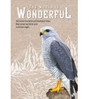 Notatnik ozdobny 143x210 64K kratka TW Sokół