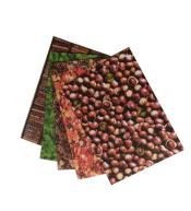 Karton 300g Natura 24x34cm 5 arkuszy