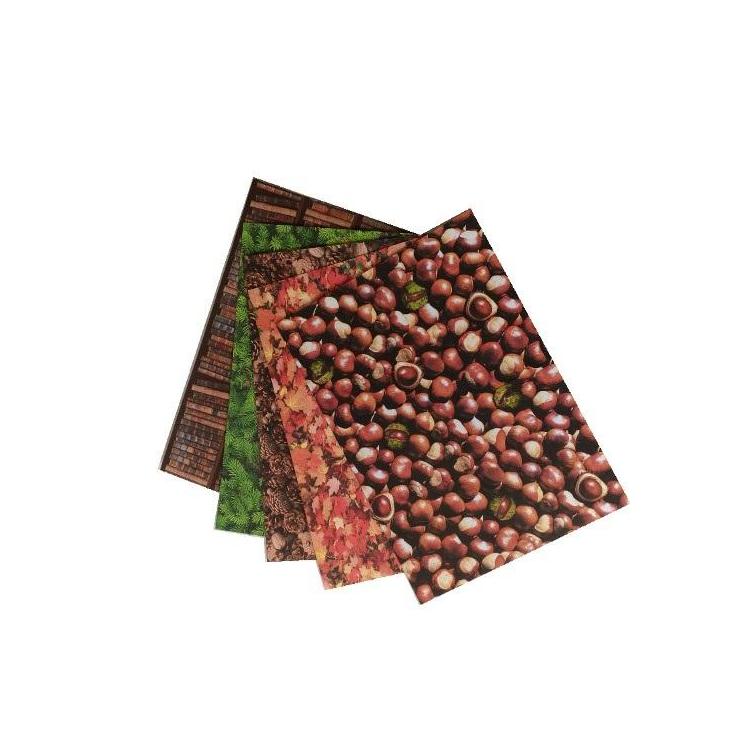 Karton 300g Natura 24x34cm 5 arkuszy