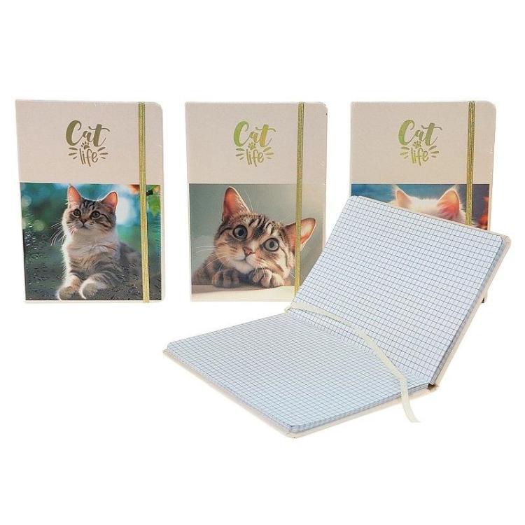 Notes A5 w kratkę kot MIX