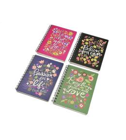 Notes w linie 21x15cm