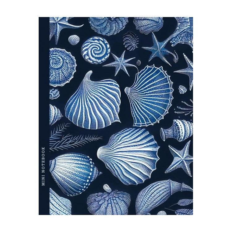 Notatnik 128x165/64K kratka muszle FRESH