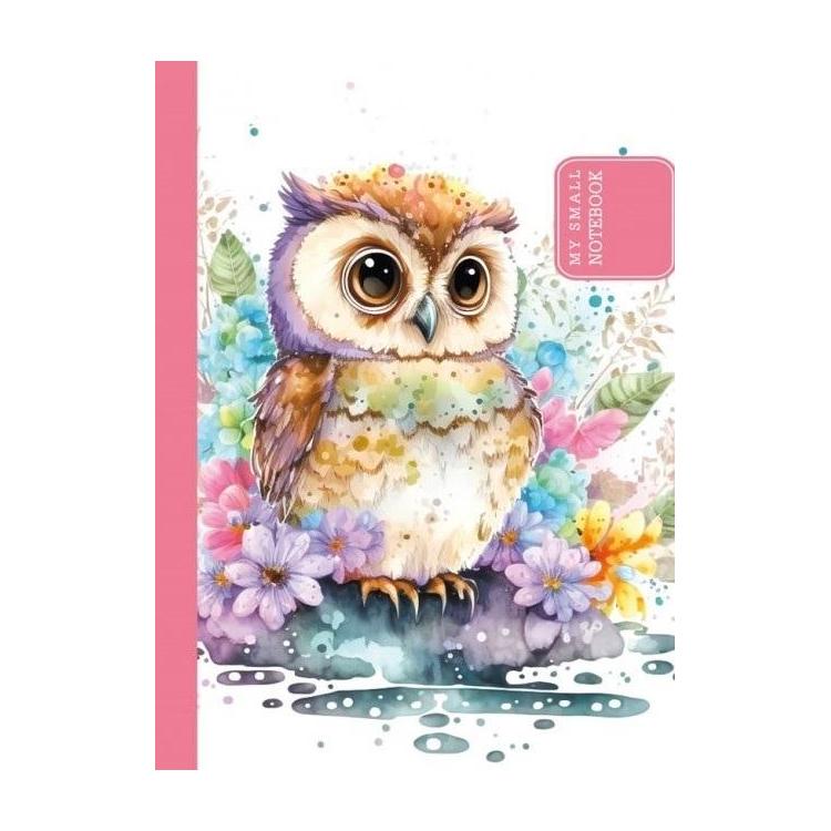 Notatnik ozdobny 105x148/48K gładki TW Sowa