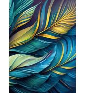 Notatnik ozdobny 105x148/64K kratka TW Pióra