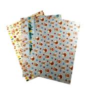 Karton 300g lama 24x34cm 3 ark MIX