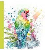 Notatnik ozdobny 100x100/48K gładki TW Papuga