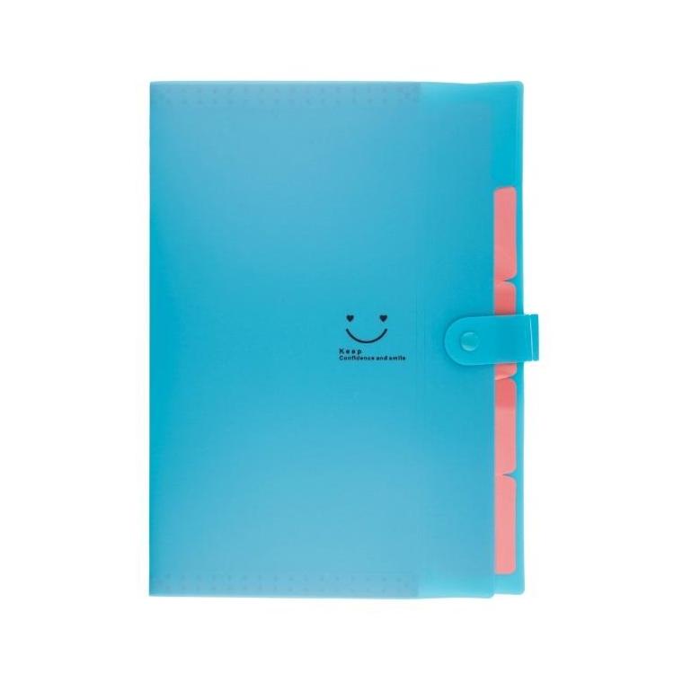 Teczka plastikowa A4 z 5 przegródkami niebieska
